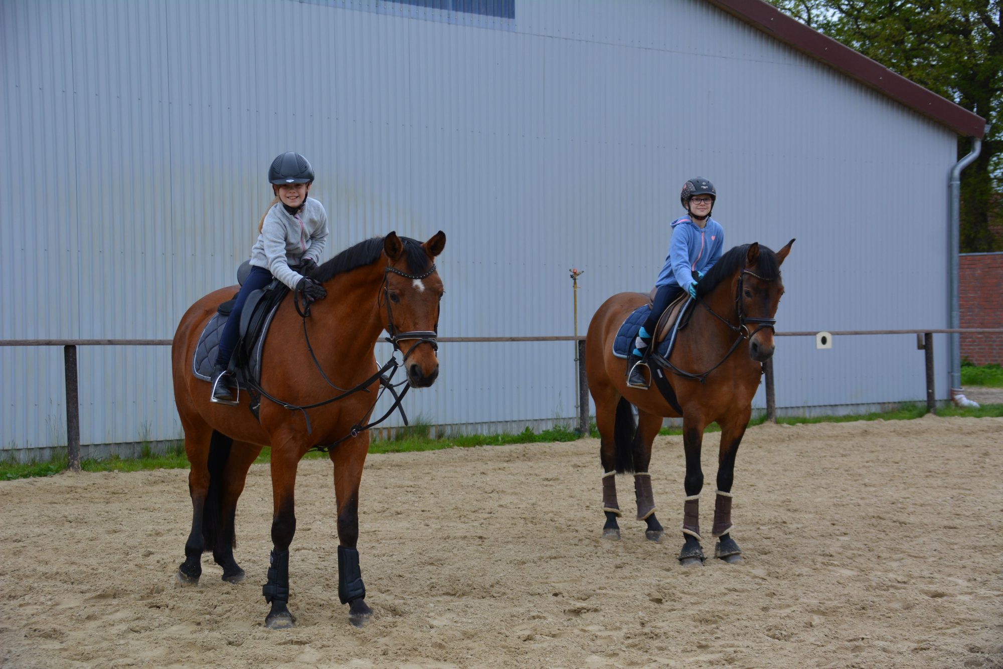 Reit /Pflegebeteiligung Reitverein Fredenbeck